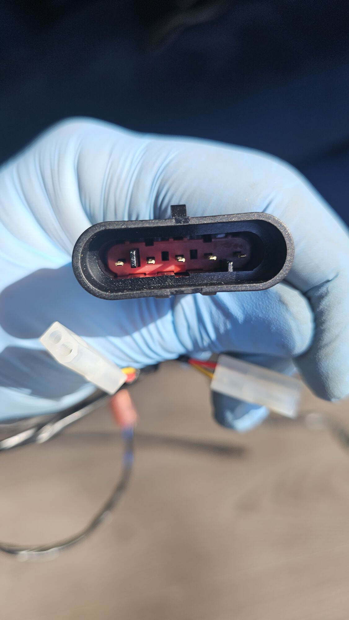 Forum member supplied image with no explanatory text