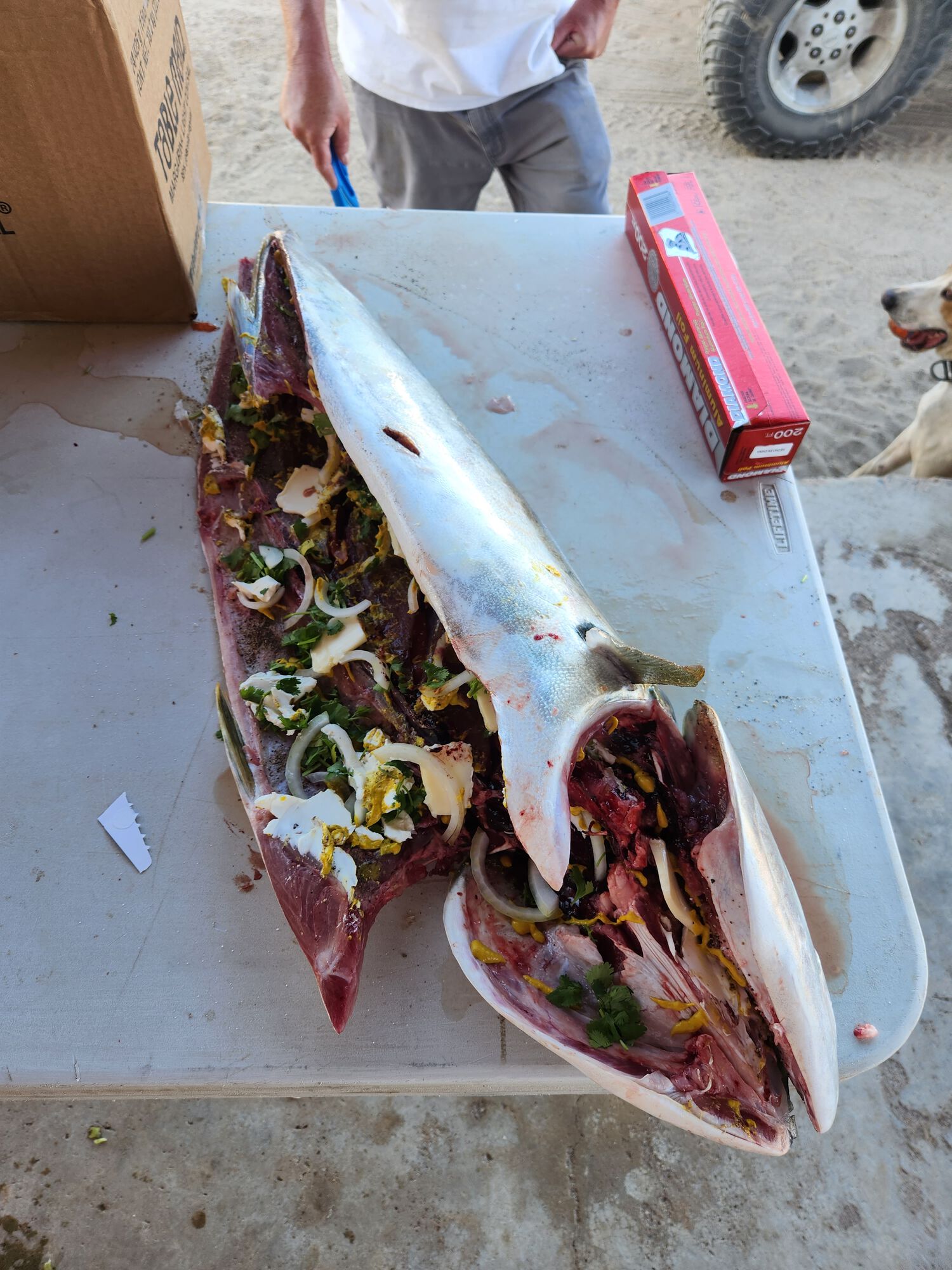 Forum member supplied image with no explanatory text