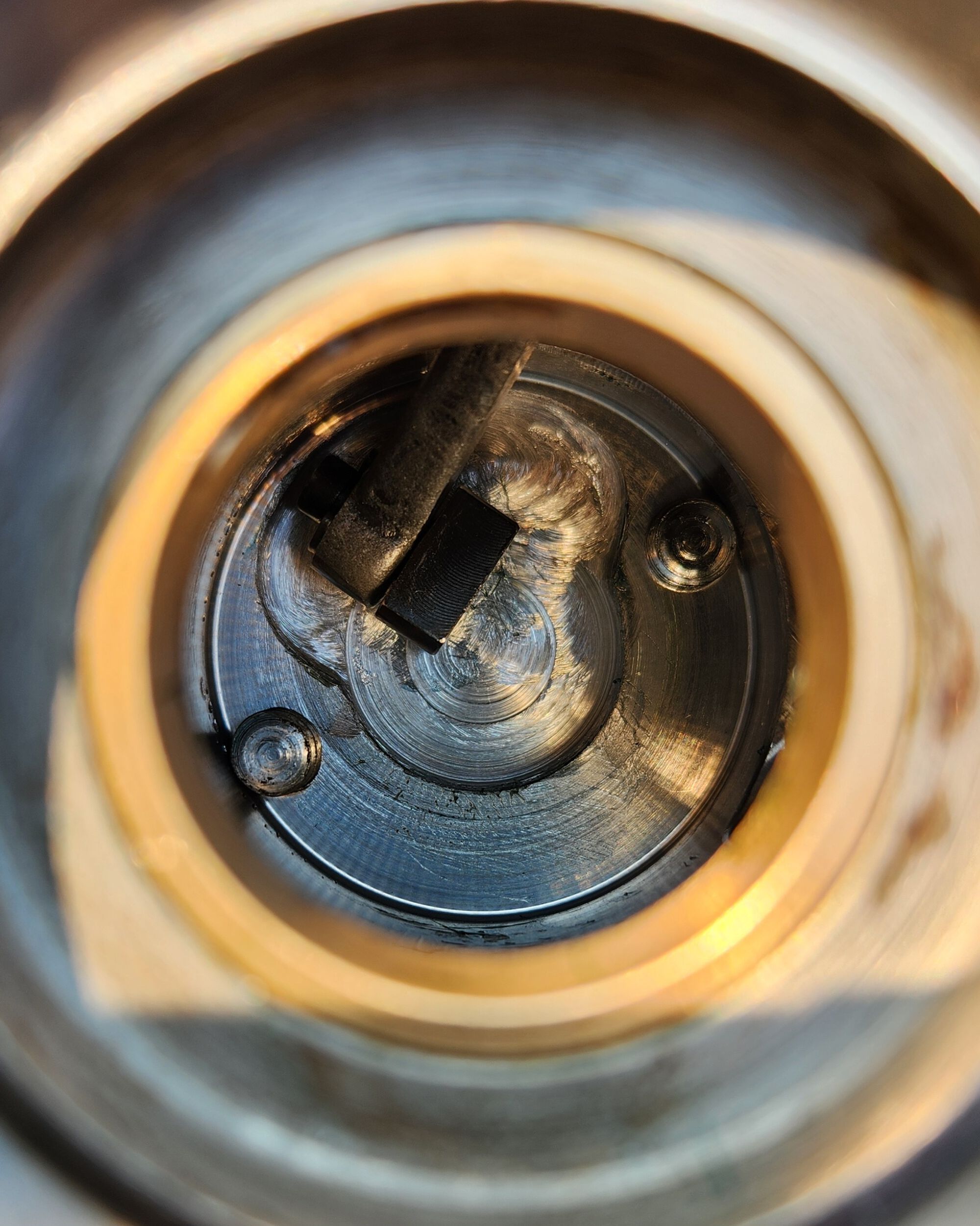 Forum member supplied image with no explanatory text