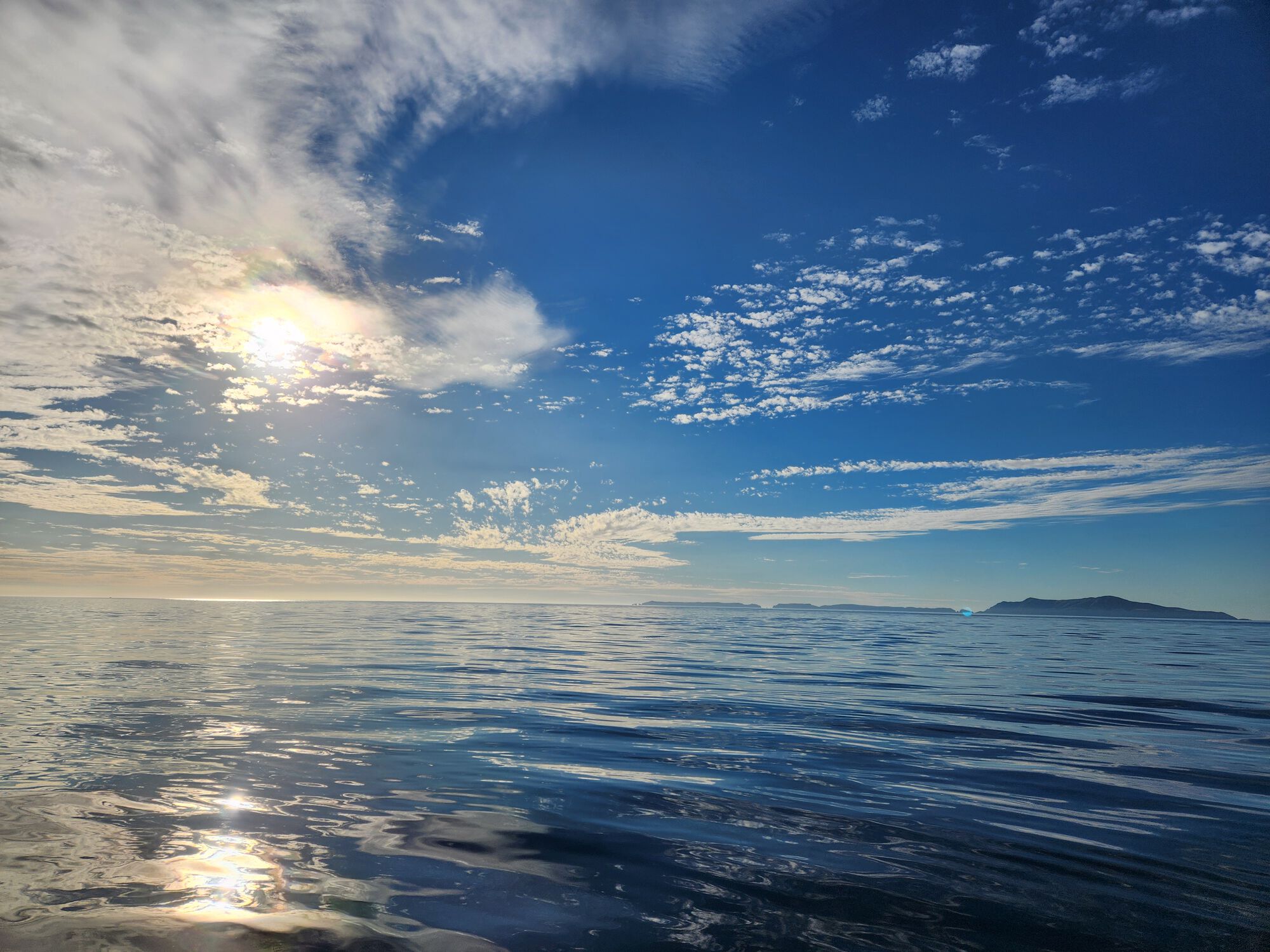 Forum member supplied image with no explanatory text