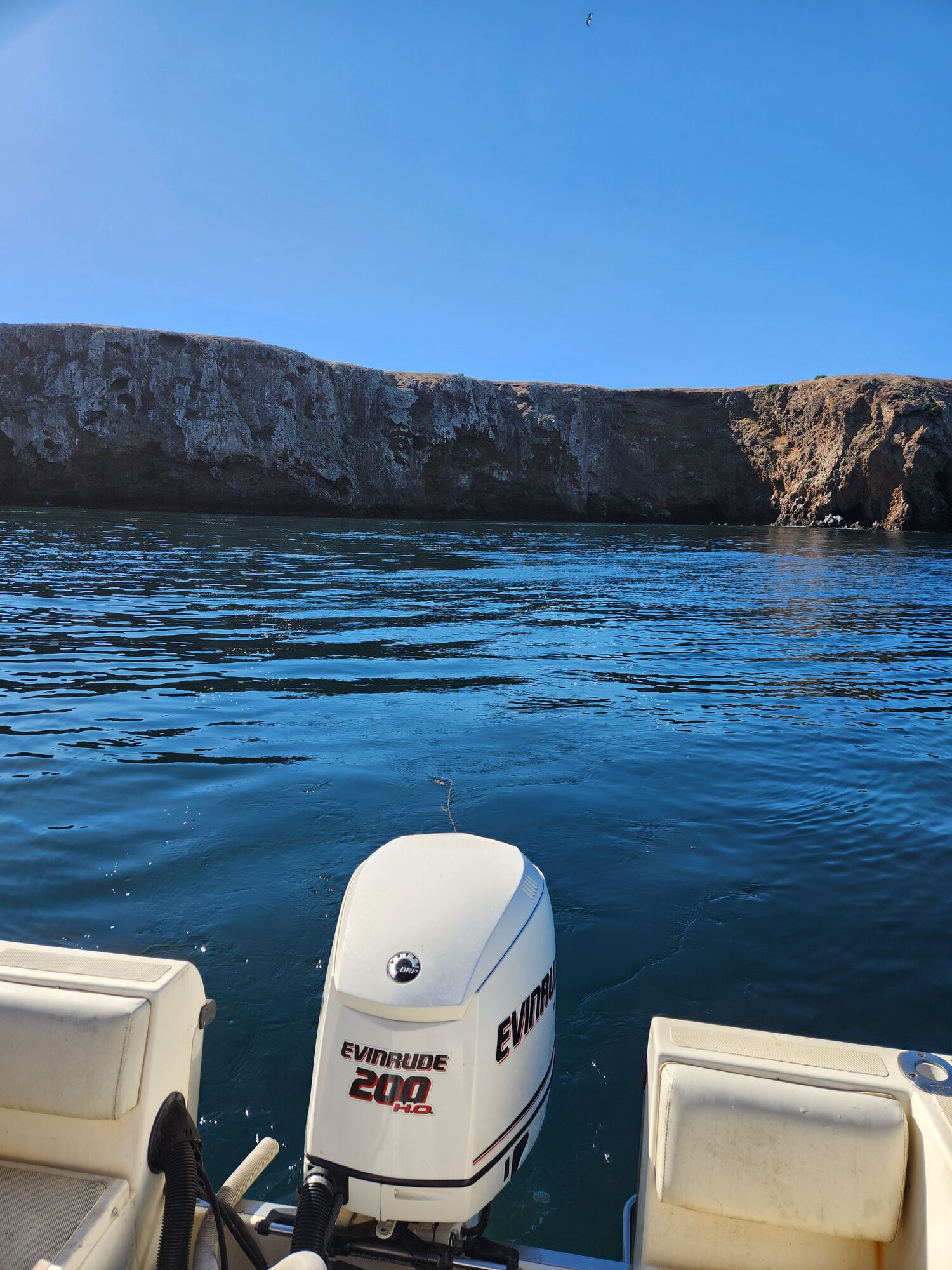 Forum member supplied image with no explanatory text