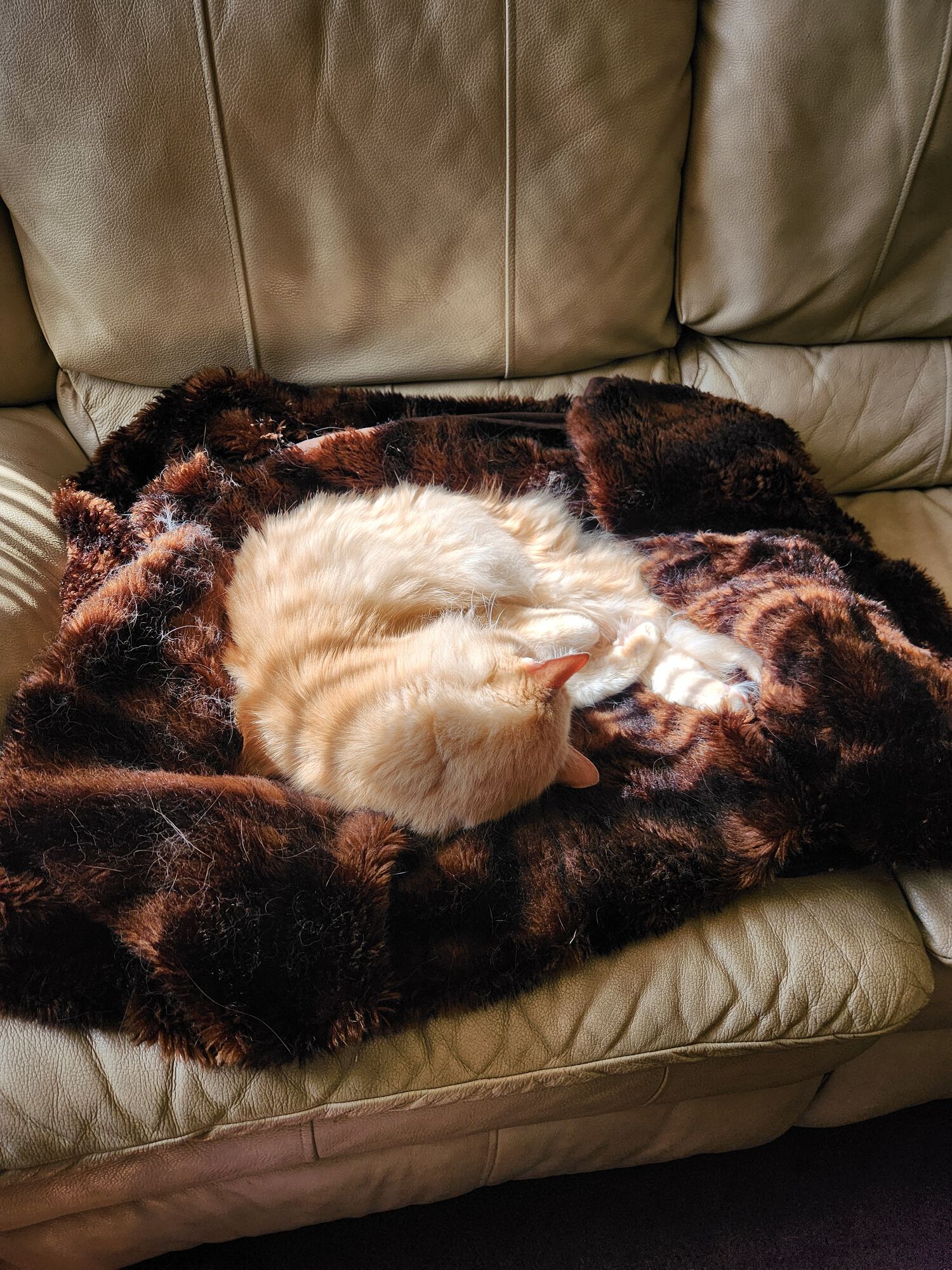 Forum member supplied image with no explanatory text