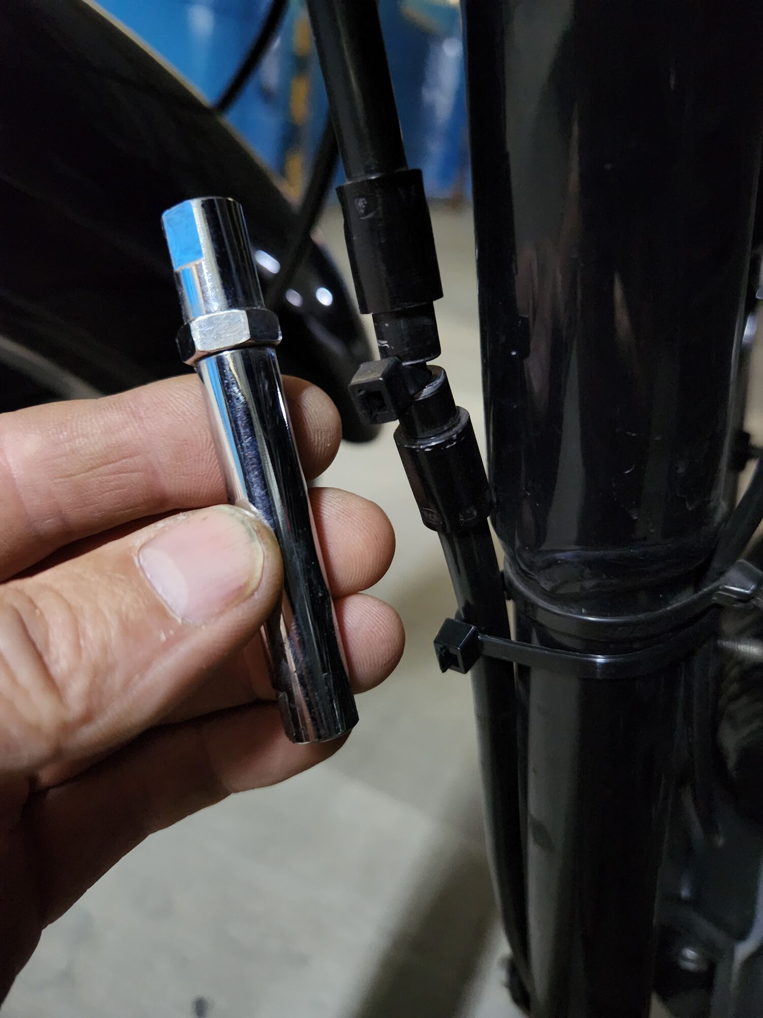 Forum member supplied image with no explanatory text