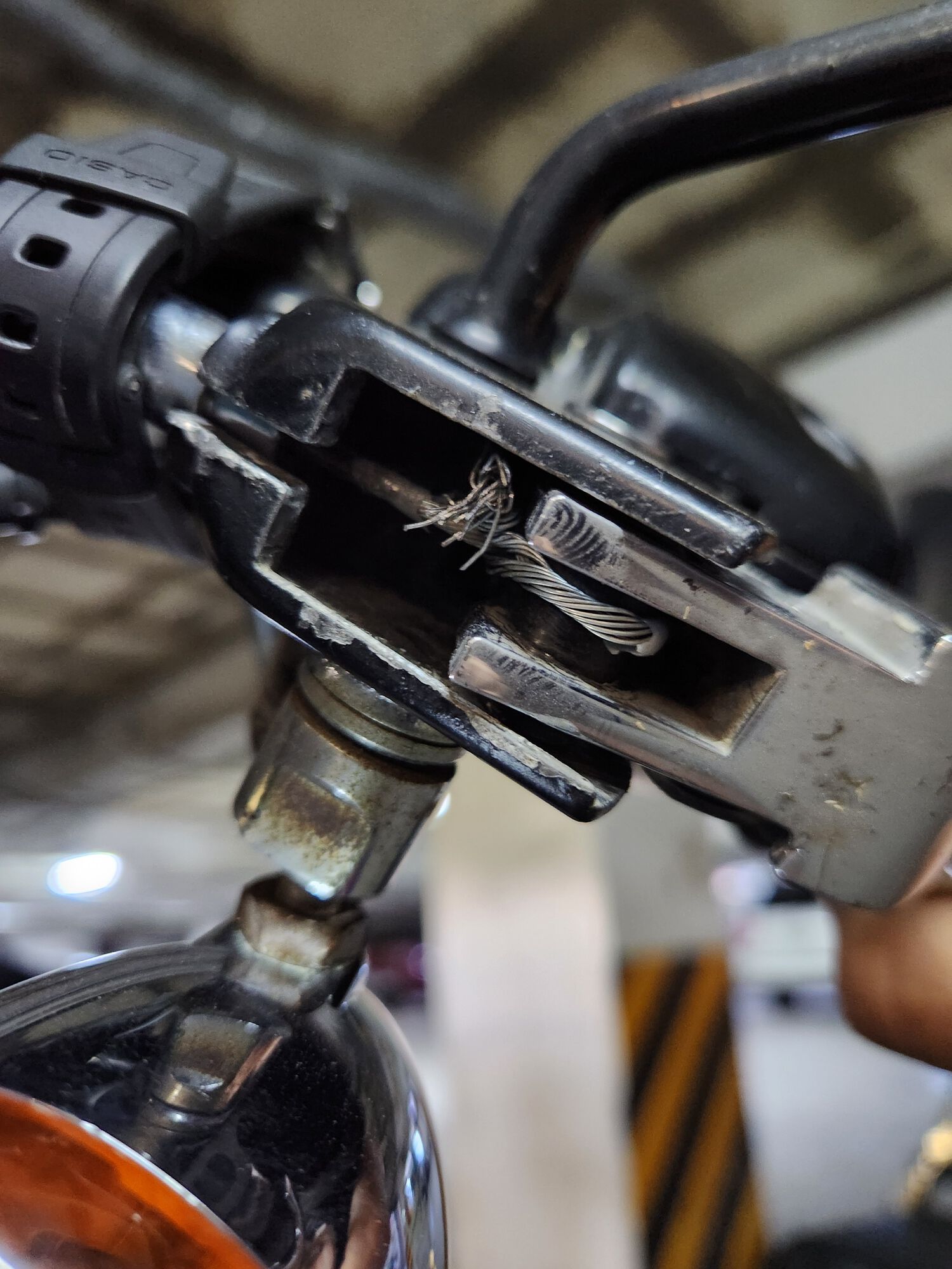 Forum member supplied image with no explanatory text