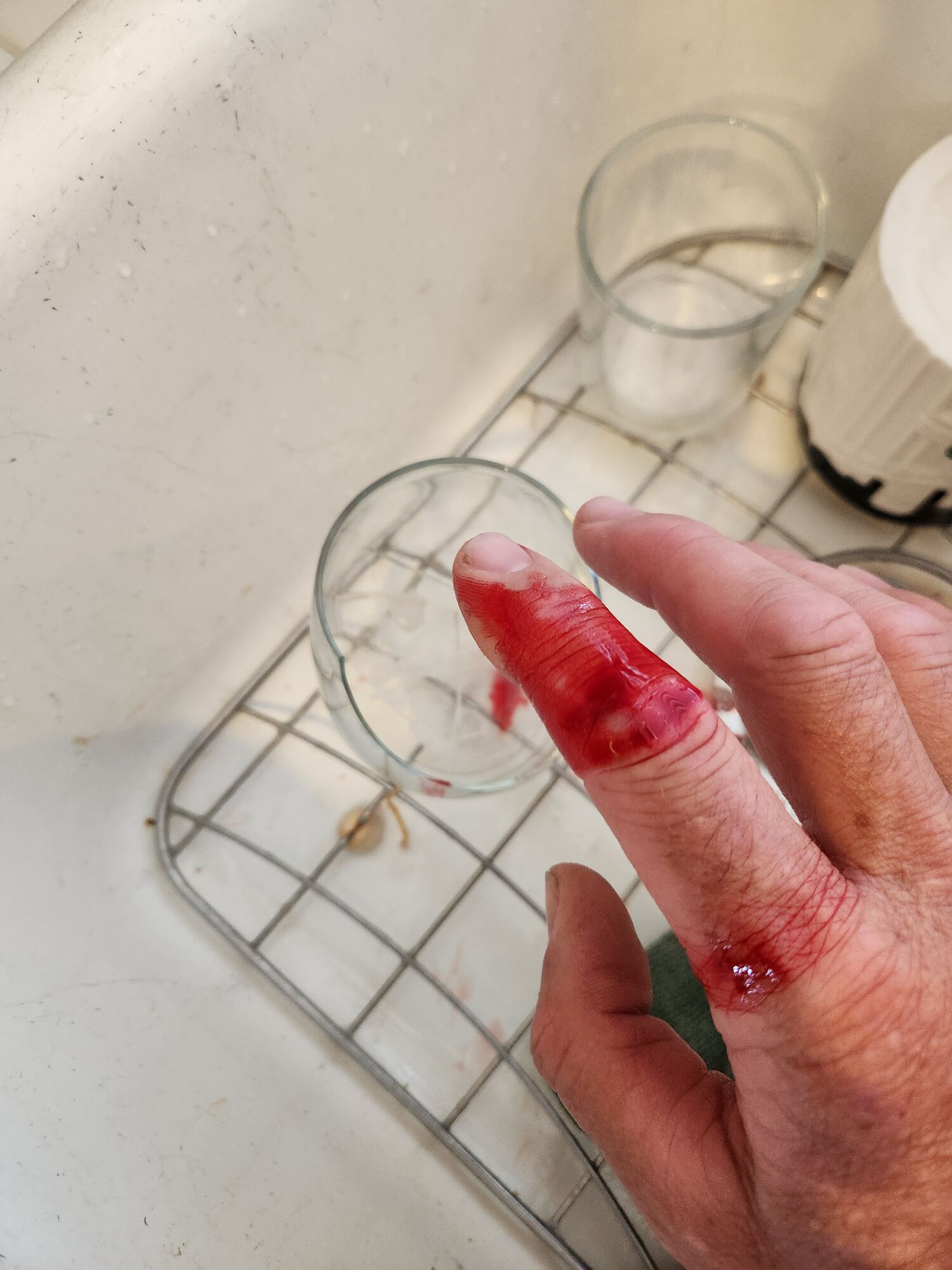 Forum member supplied image with no explanatory text