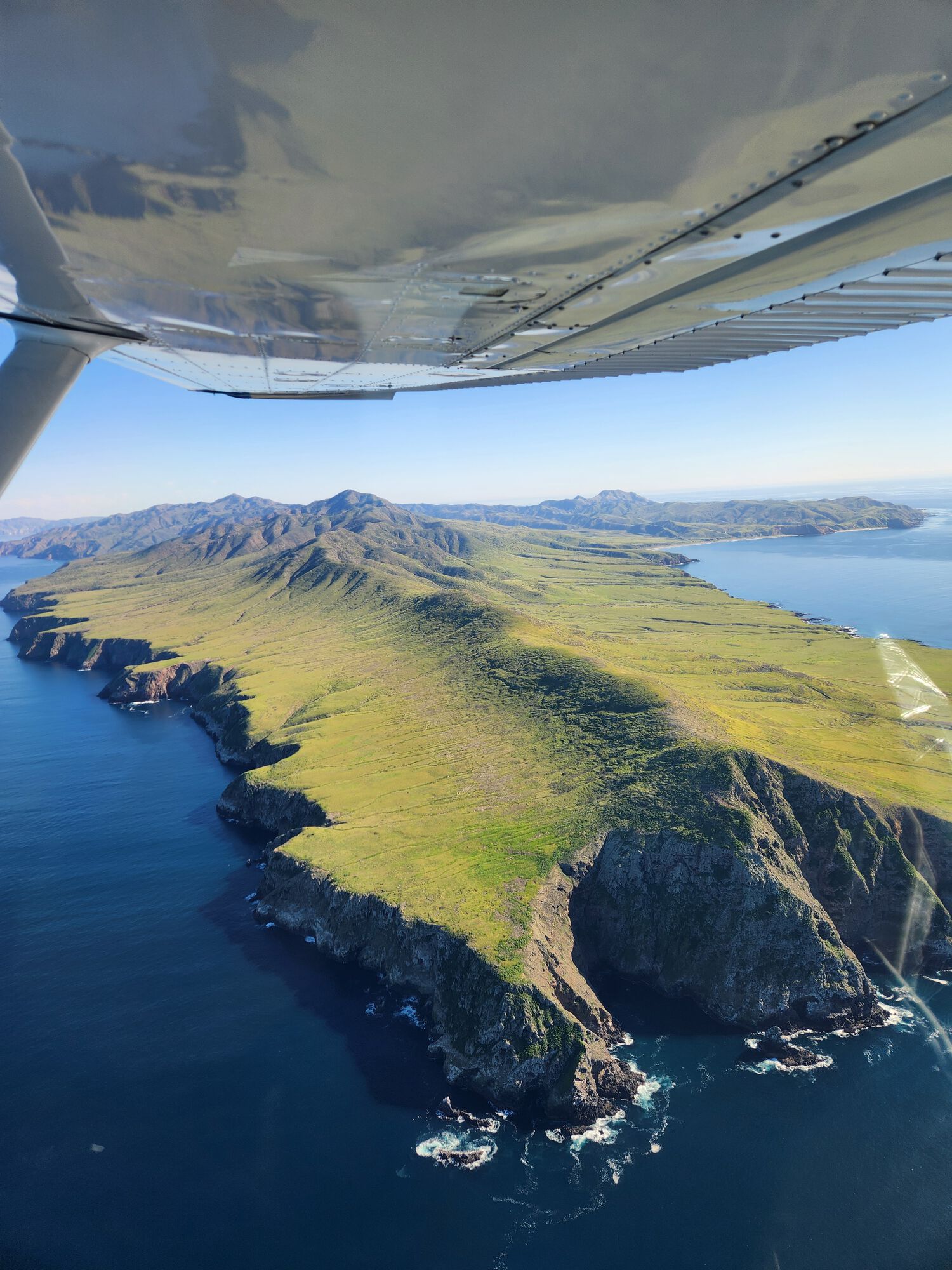 Forum member supplied image with no explanatory text