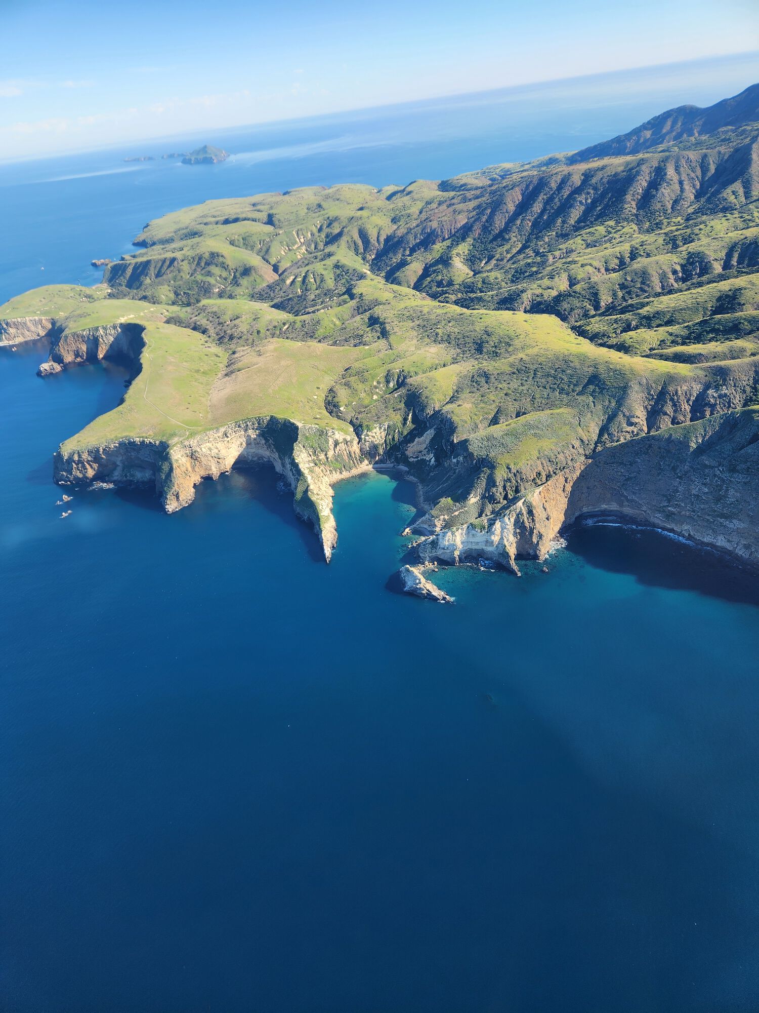 Forum member supplied image with no explanatory text