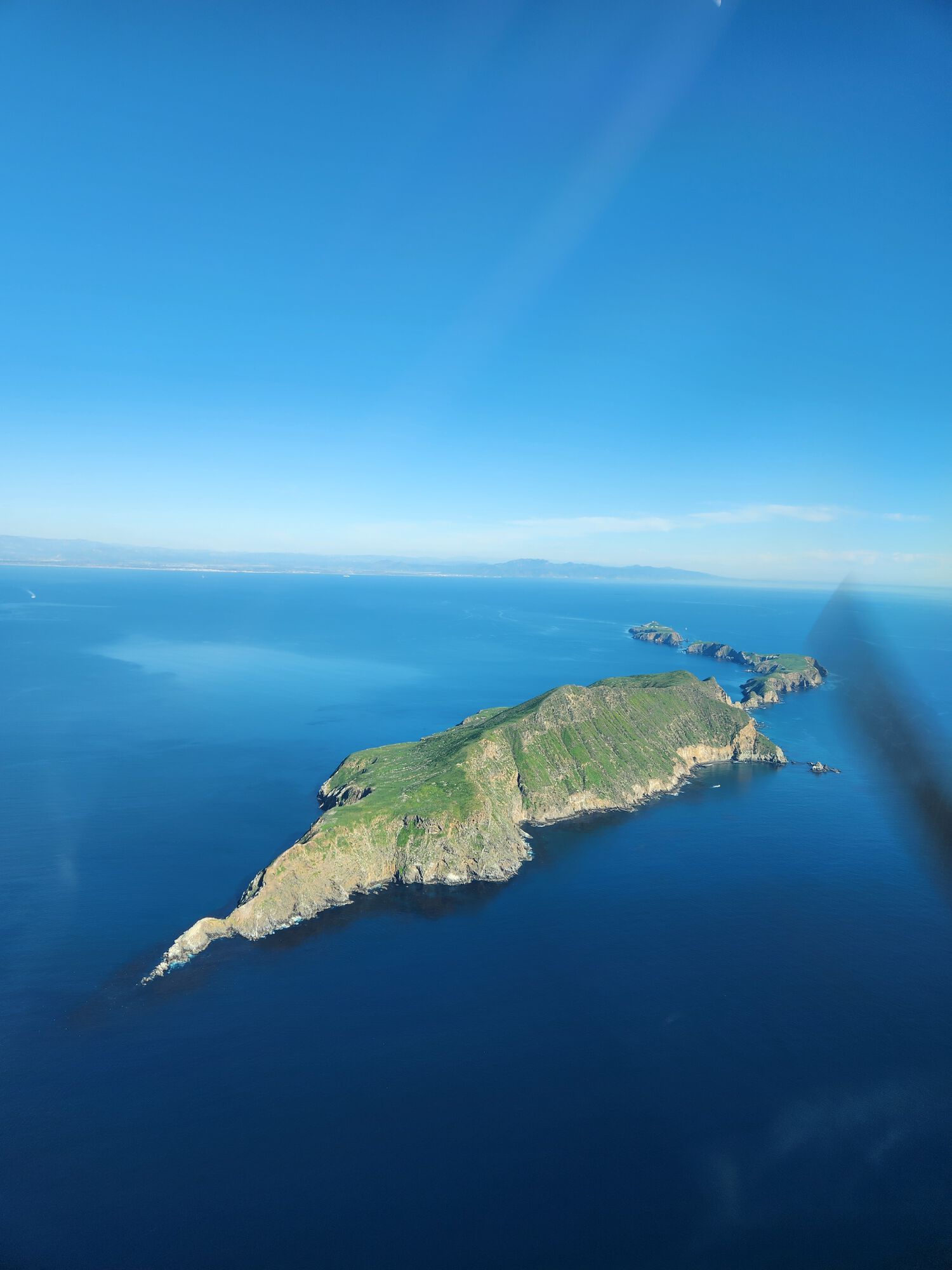 Forum member supplied image with no explanatory text