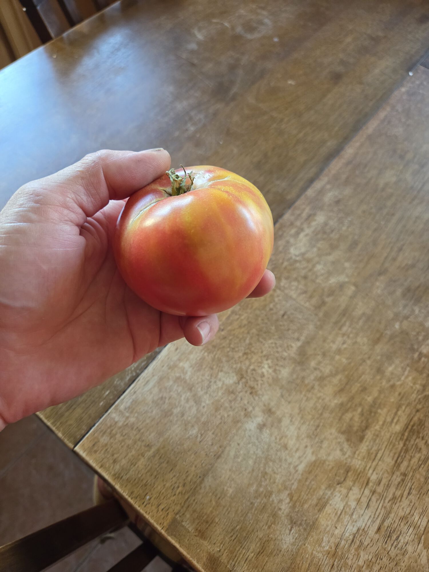 Forum member supplied image with no explanatory text