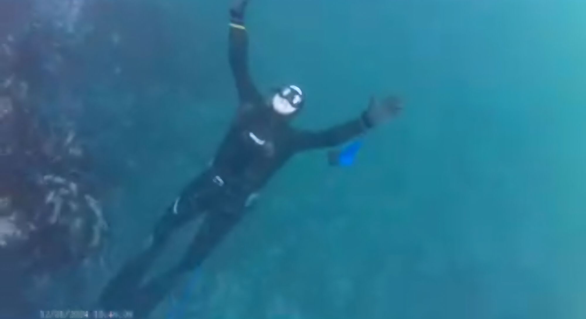 Forum member supplied image with no explanatory text