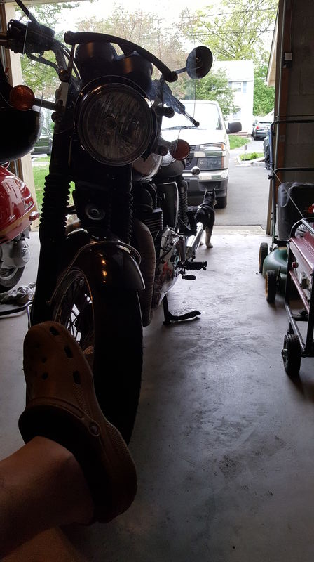 Forum member supplied image with no explanatory text