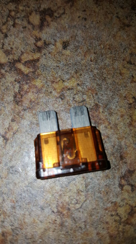 Forum member supplied image with no explanatory text