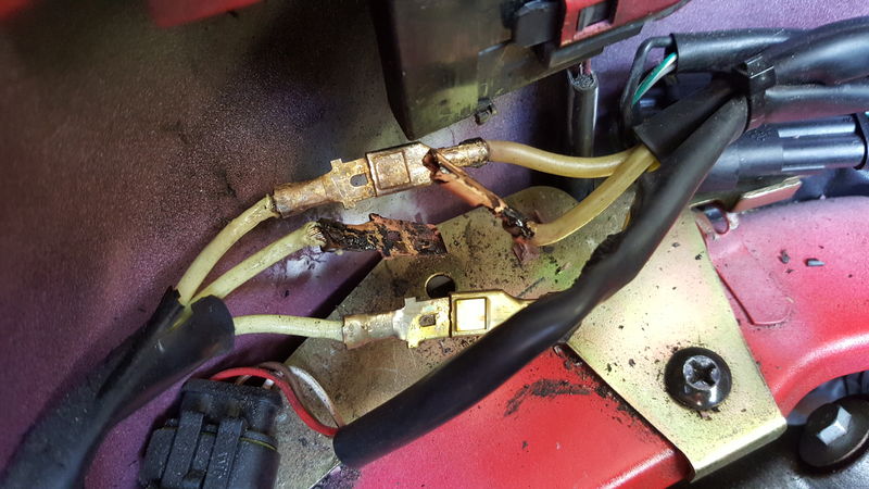 Forum member supplied image with no explanatory text