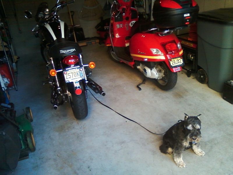 Forum member supplied image with no explanatory text