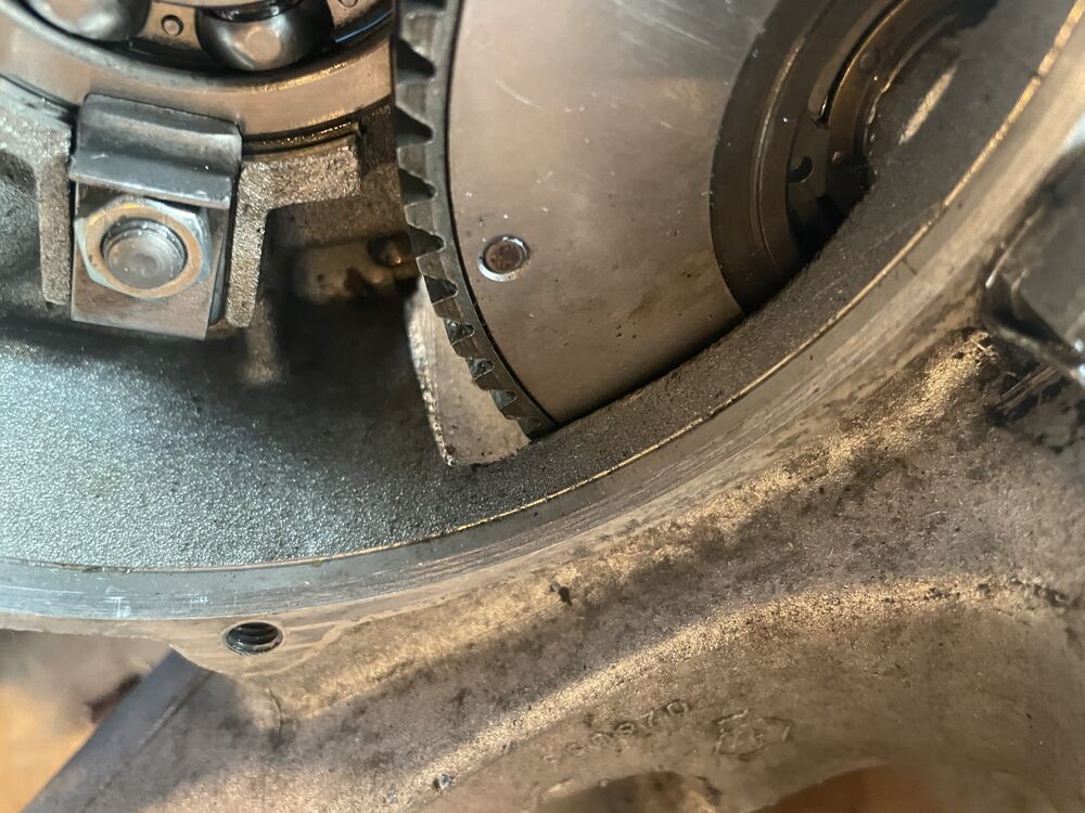 Forum member supplied image with no explanatory text