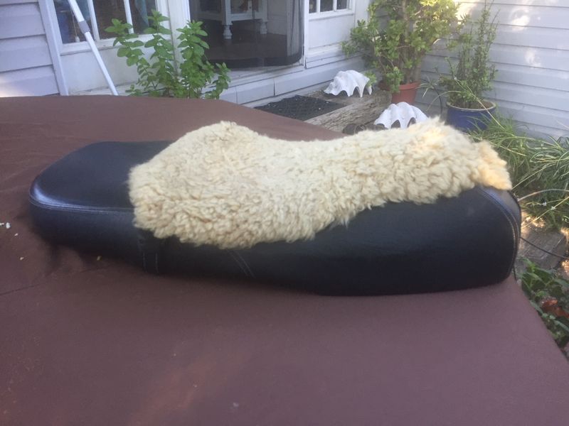 Modern Vespa [San Luis Obispo,California] Gt 200 seat fs