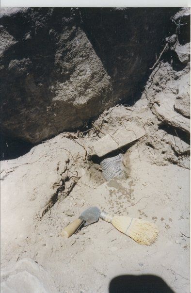 Forum member supplied image with no explanatory text