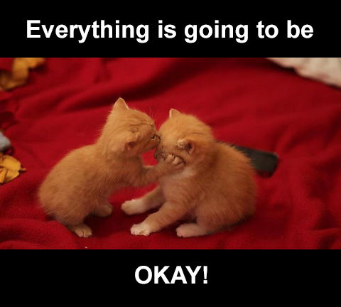 Forum member supplied image with no explanatory text