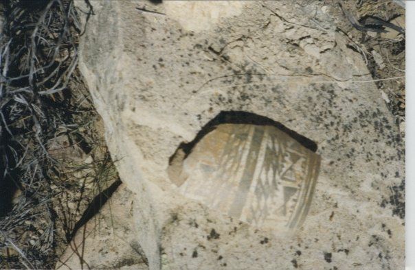 Forum member supplied image with no explanatory text