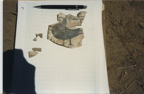 Forum member supplied image with no explanatory text