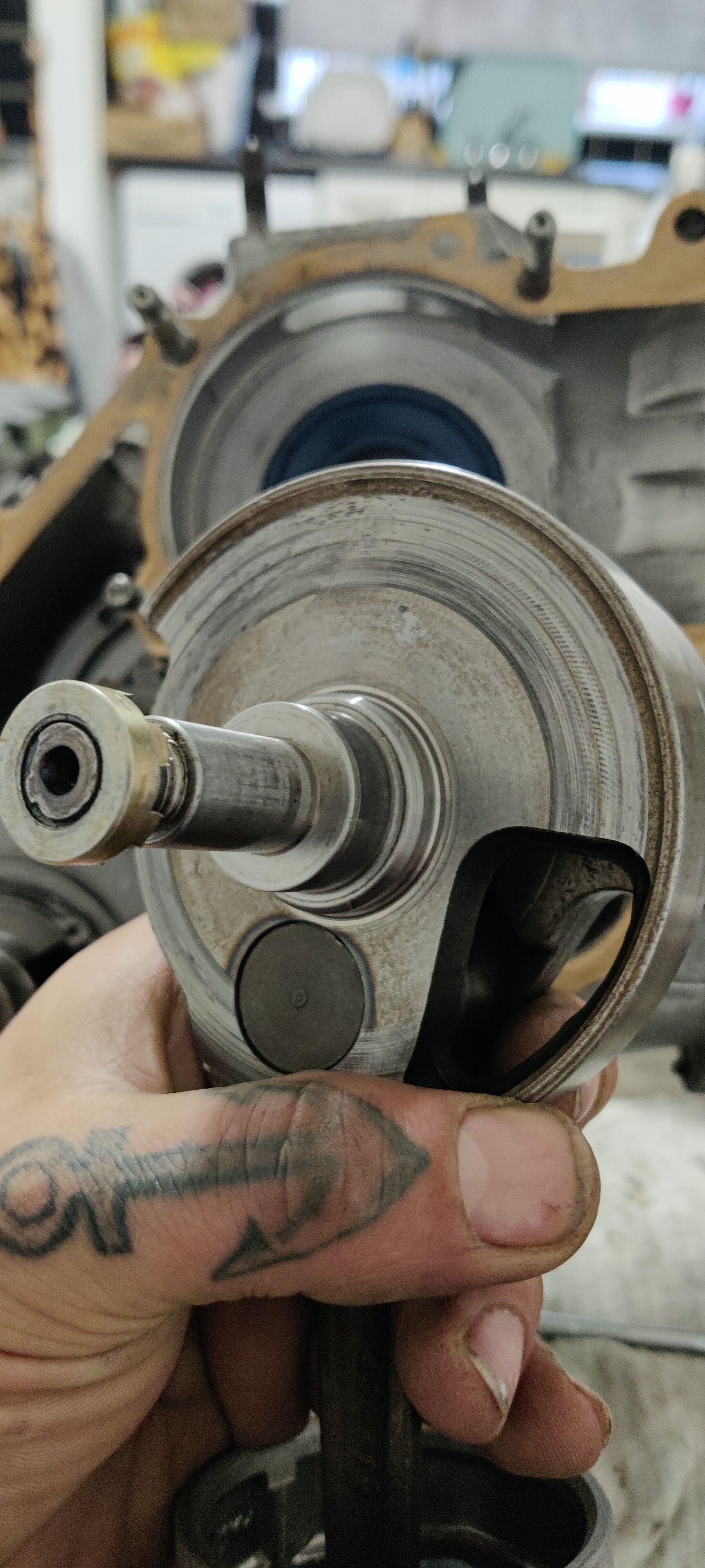 Forum member supplied image with no explanatory text