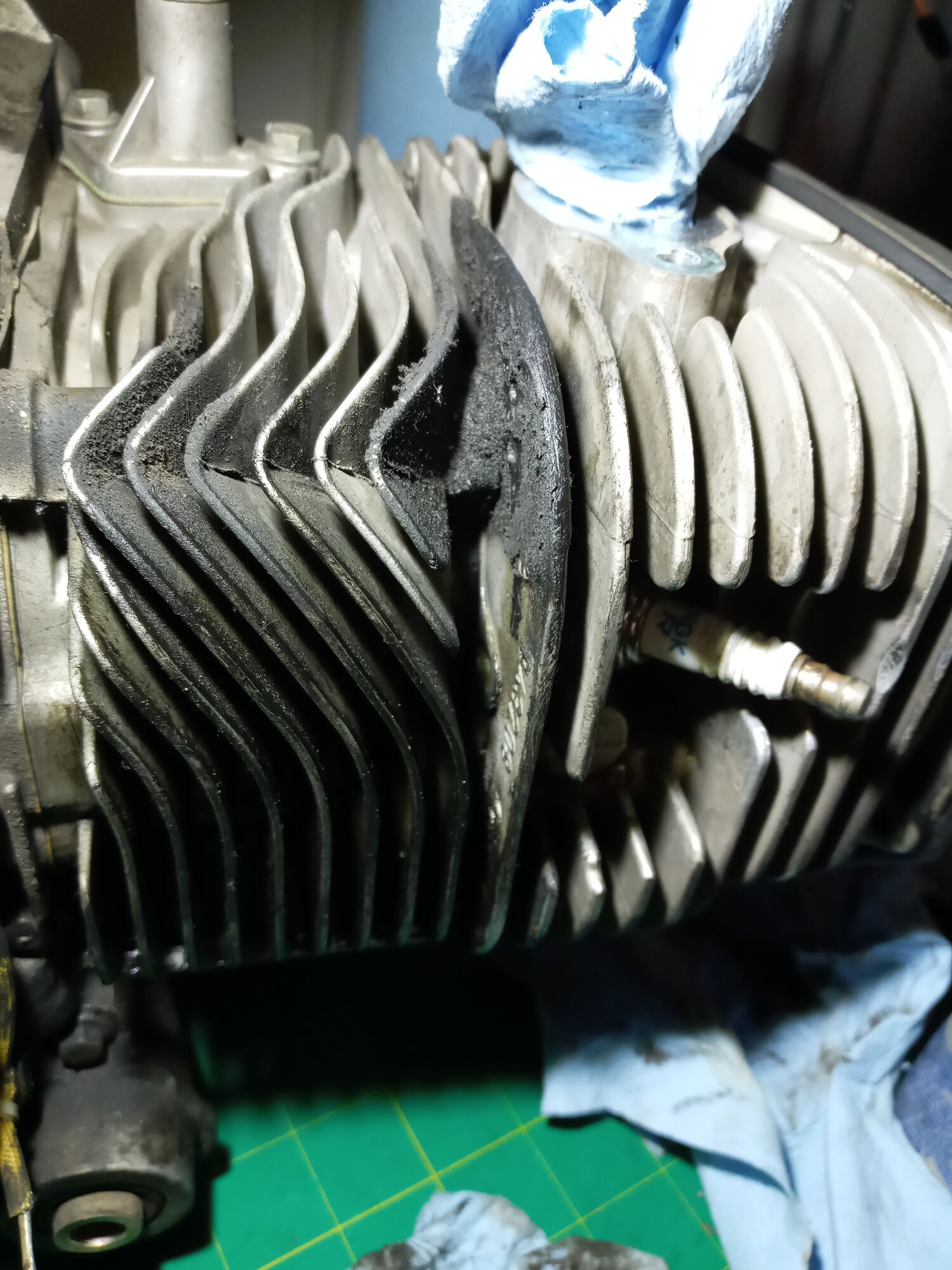 Forum member supplied image with no explanatory text