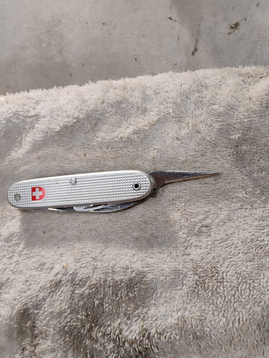 Forum member supplied image with no explanatory text