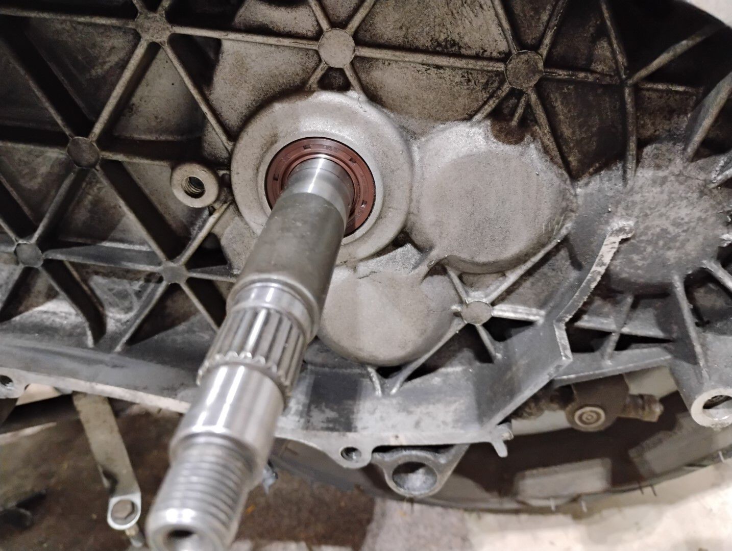 Forum member supplied image with no explanatory text