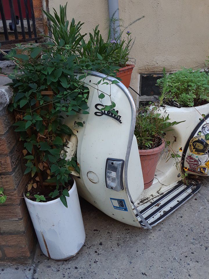 Forum member supplied image with no explanatory text