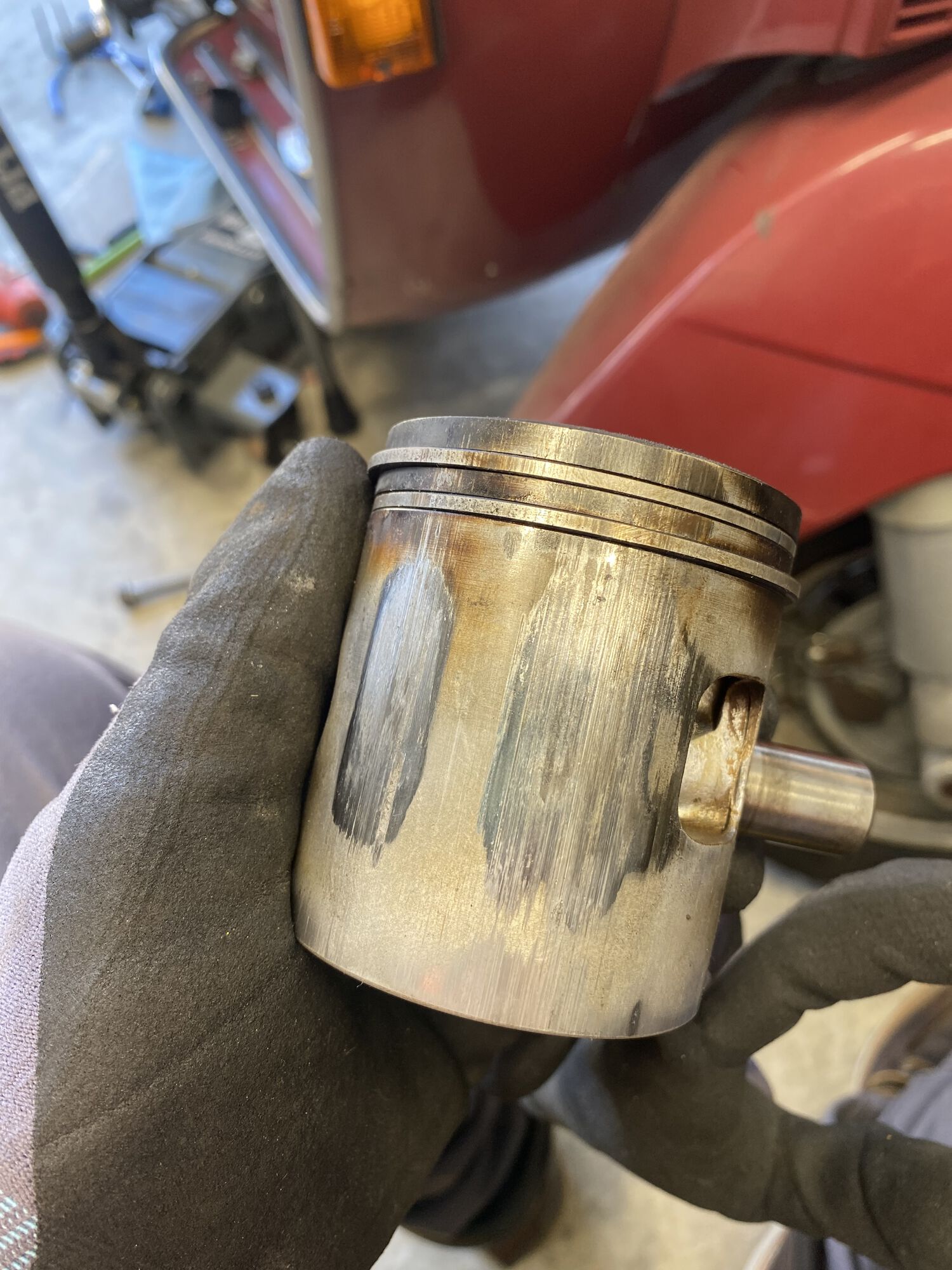 Forum member supplied image with no explanatory text
