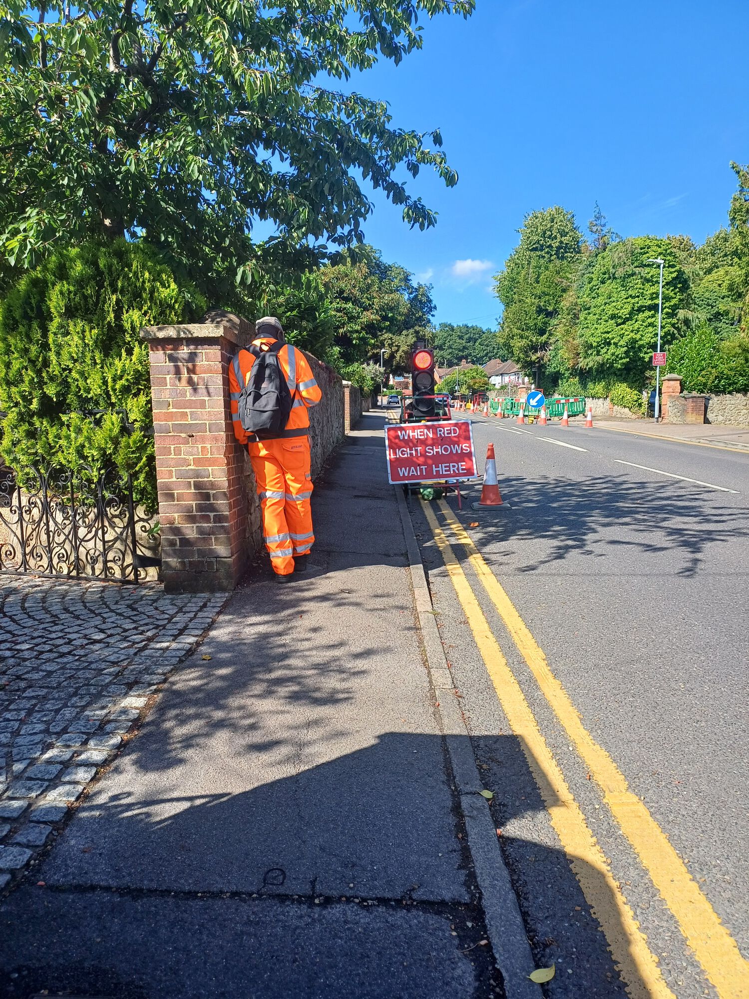 Forum member supplied image with no explanatory text