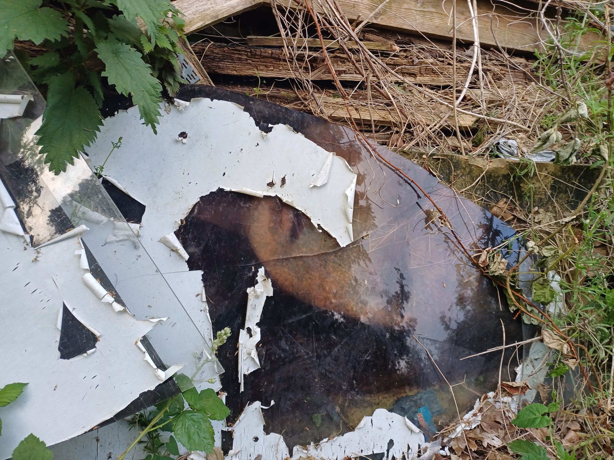 Forum member supplied image with no explanatory text