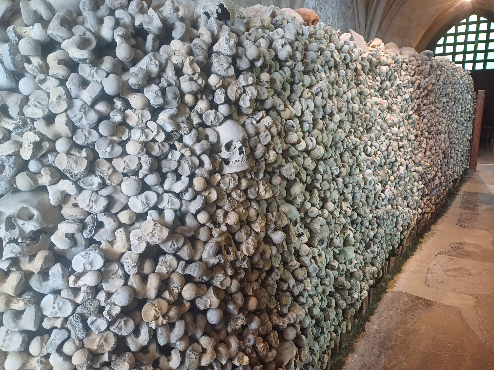 Forum member supplied image with no explanatory text