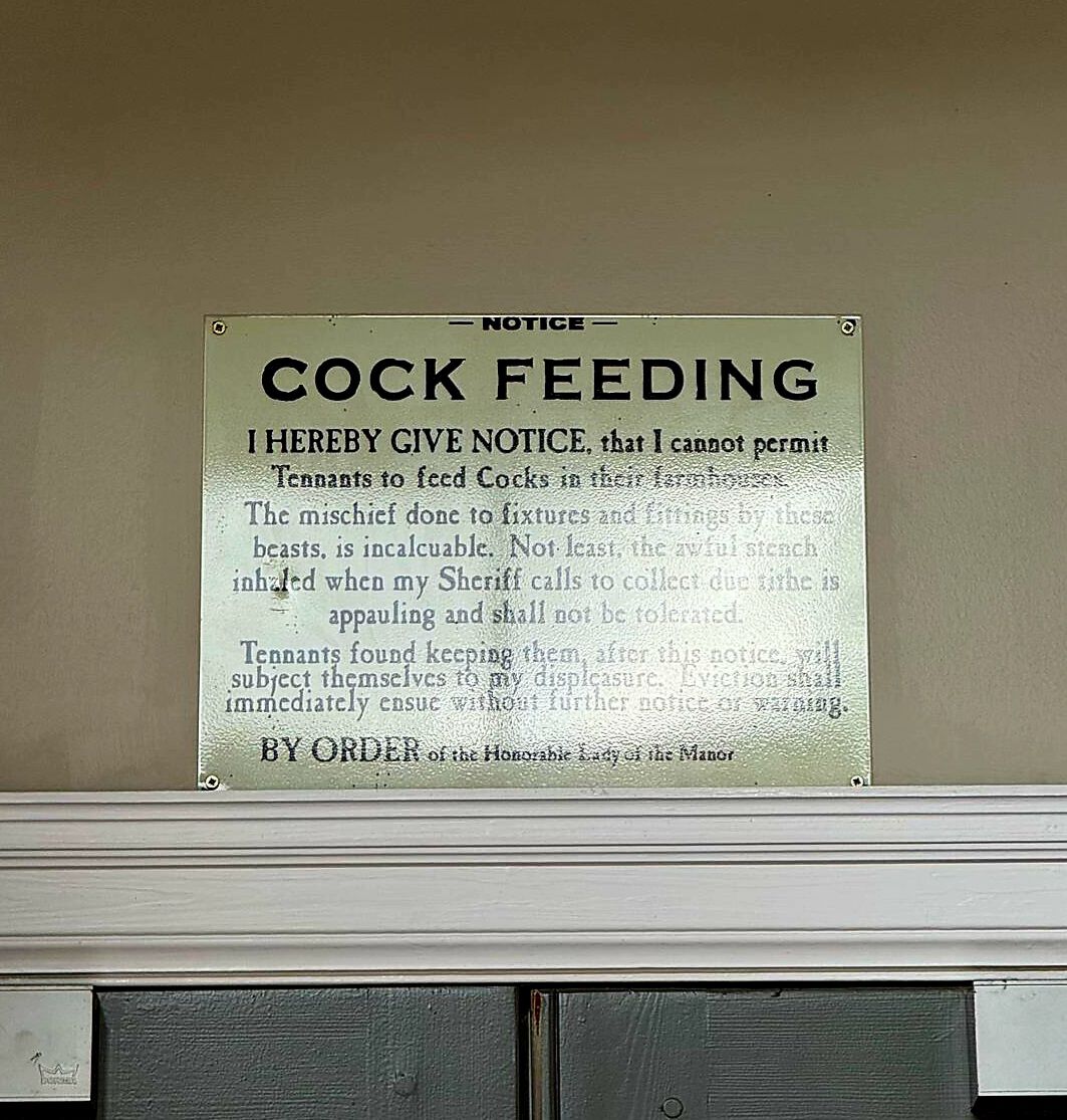 Forum member supplied image with no explanatory text