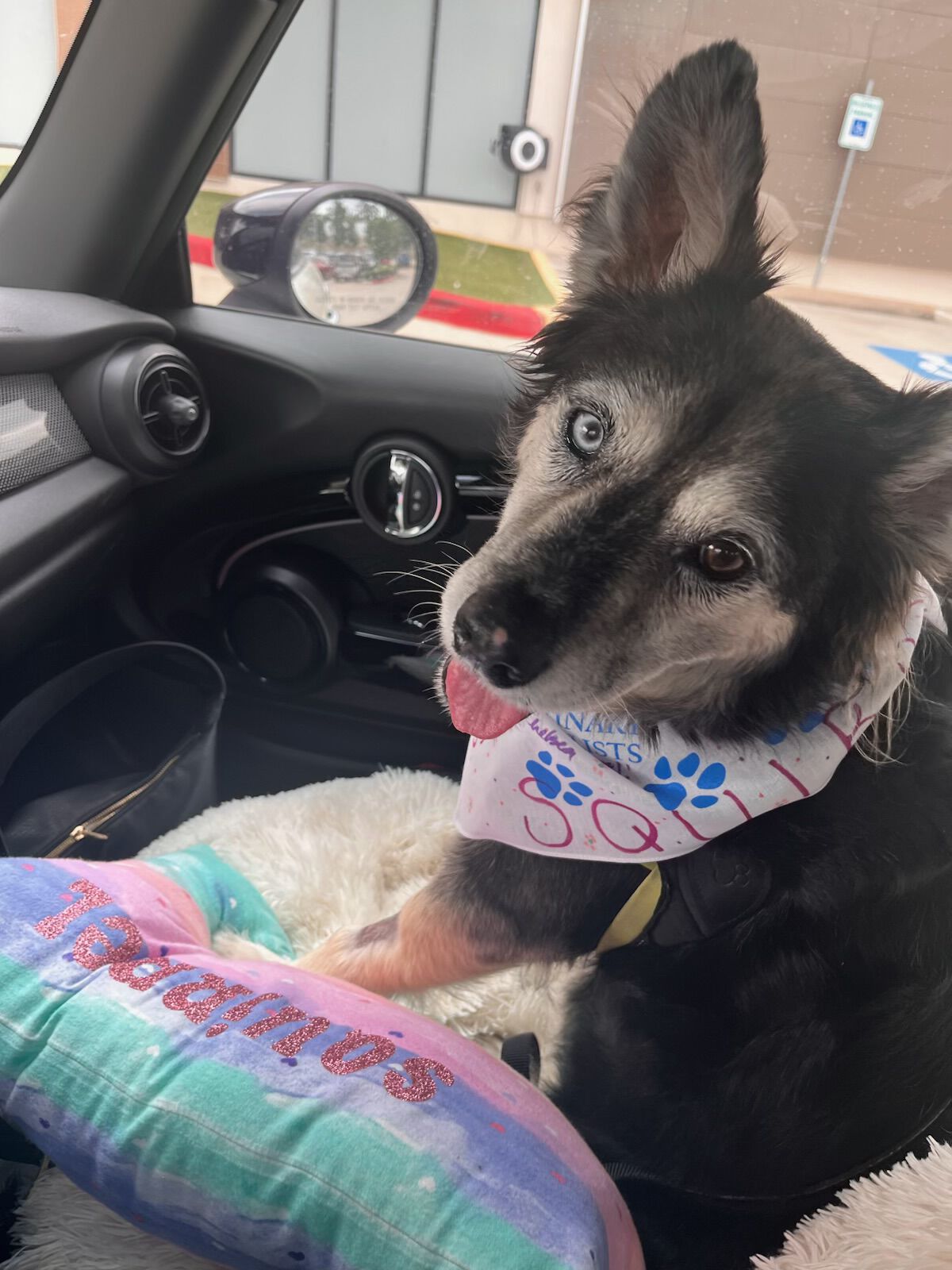 Going home with post radiation treatment presents from her care team.
