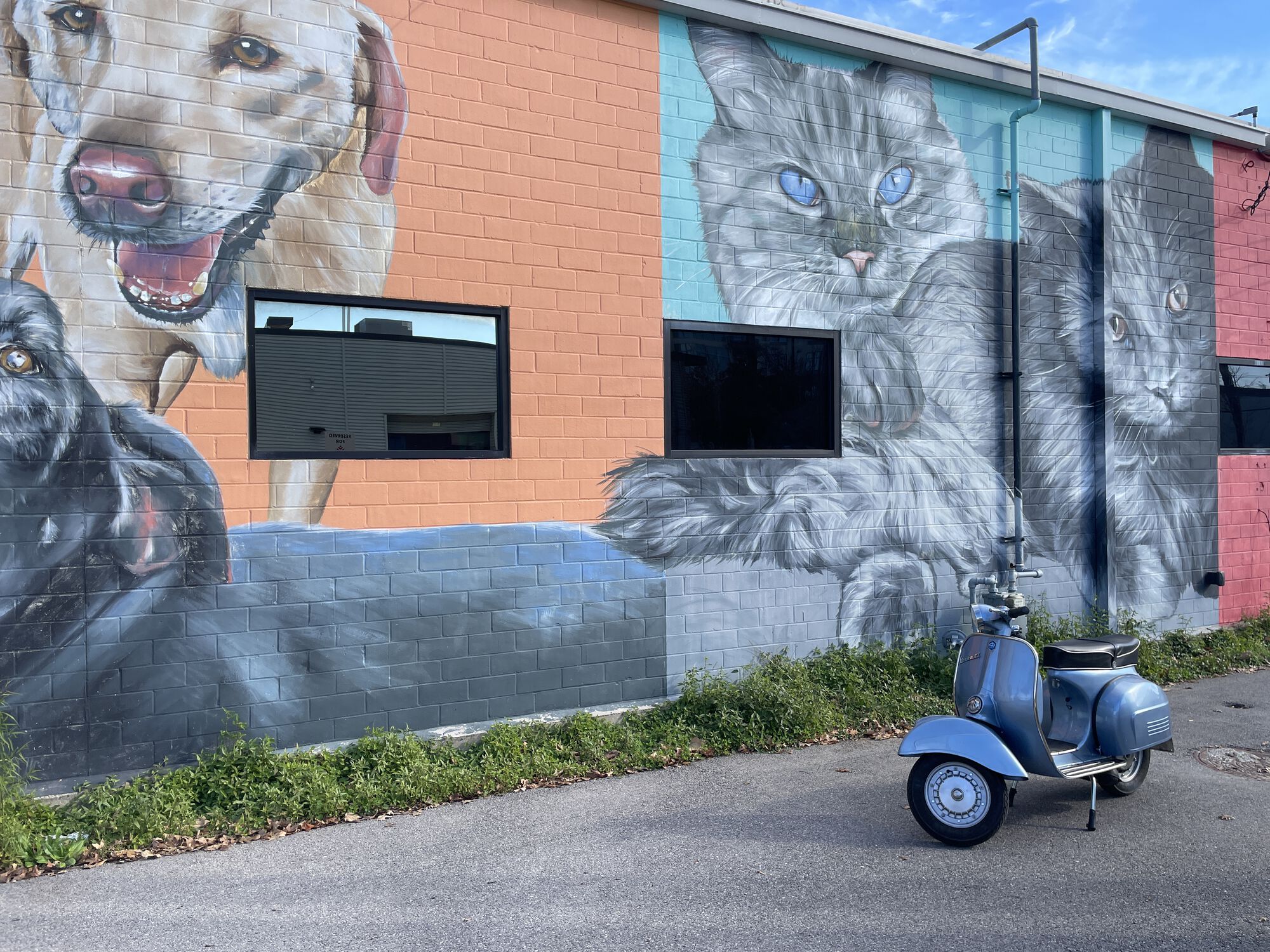 Friends for Life animal shelter