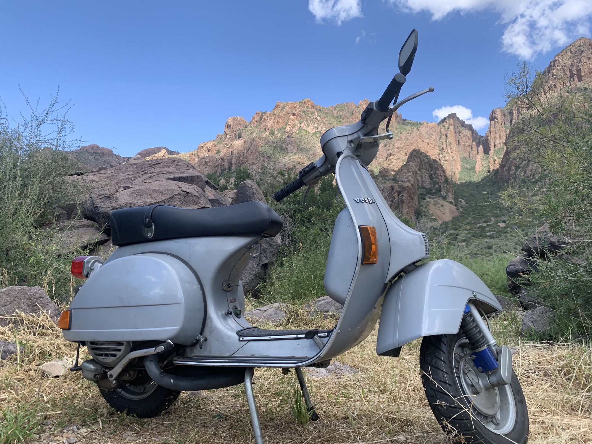 Chicos: Was a rainy fall and more green than usual.