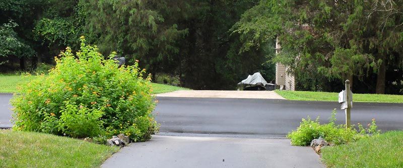 The big and the small