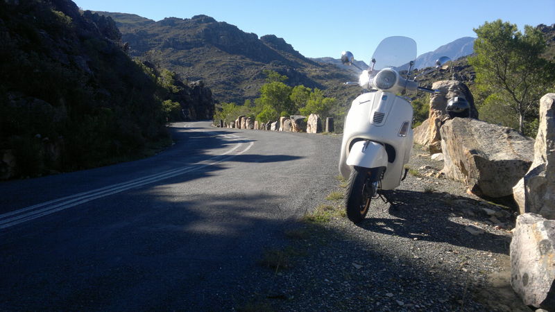 Forum member supplied image with no explanatory text