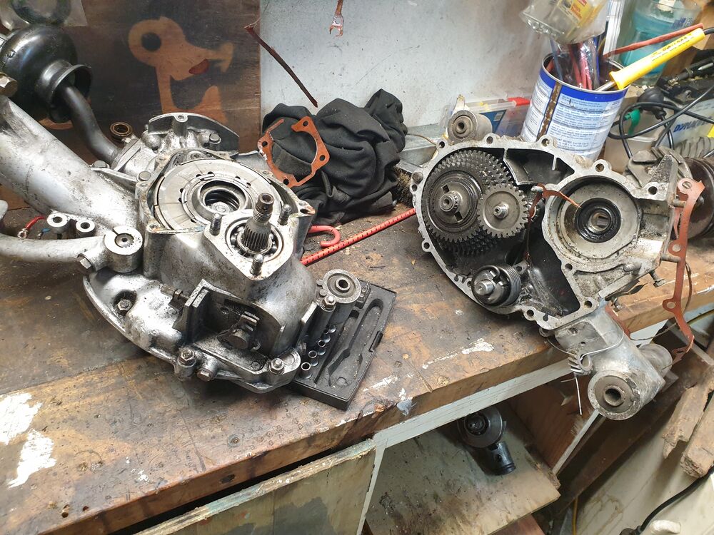 Forum member supplied image with no explanatory text