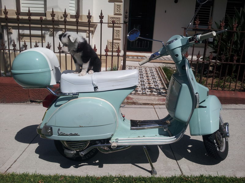 Forum member supplied image with no explanatory text