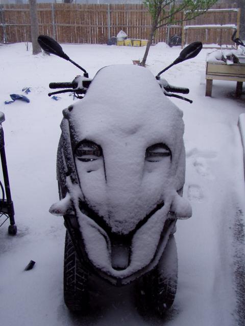 Forum member supplied image with no explanatory text