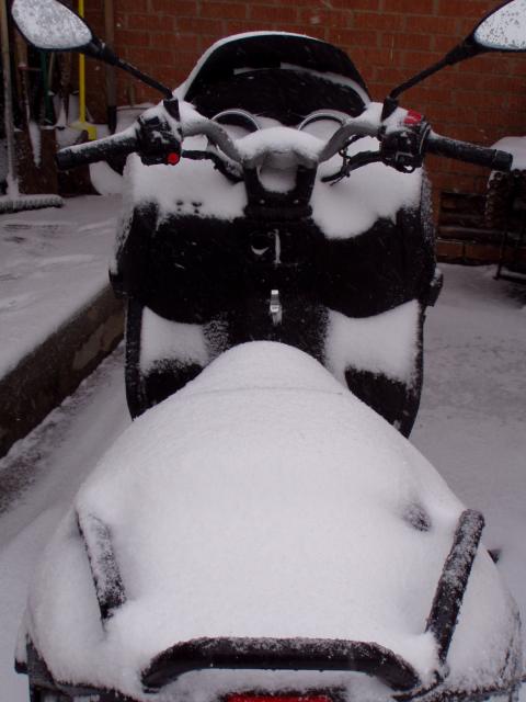 Forum member supplied image with no explanatory text