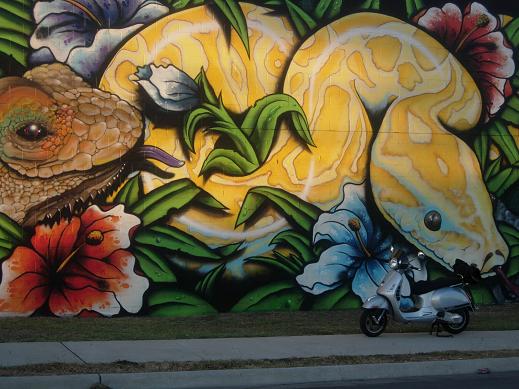 Forum member supplied image with no explanatory text