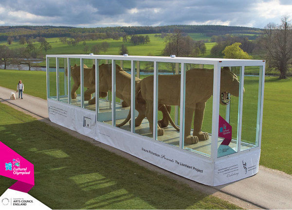 Forum member supplied image with no explanatory text