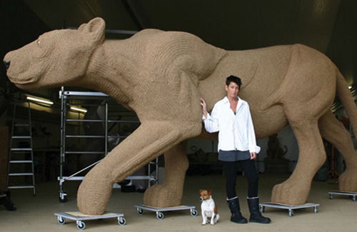 Forum member supplied image with no explanatory text