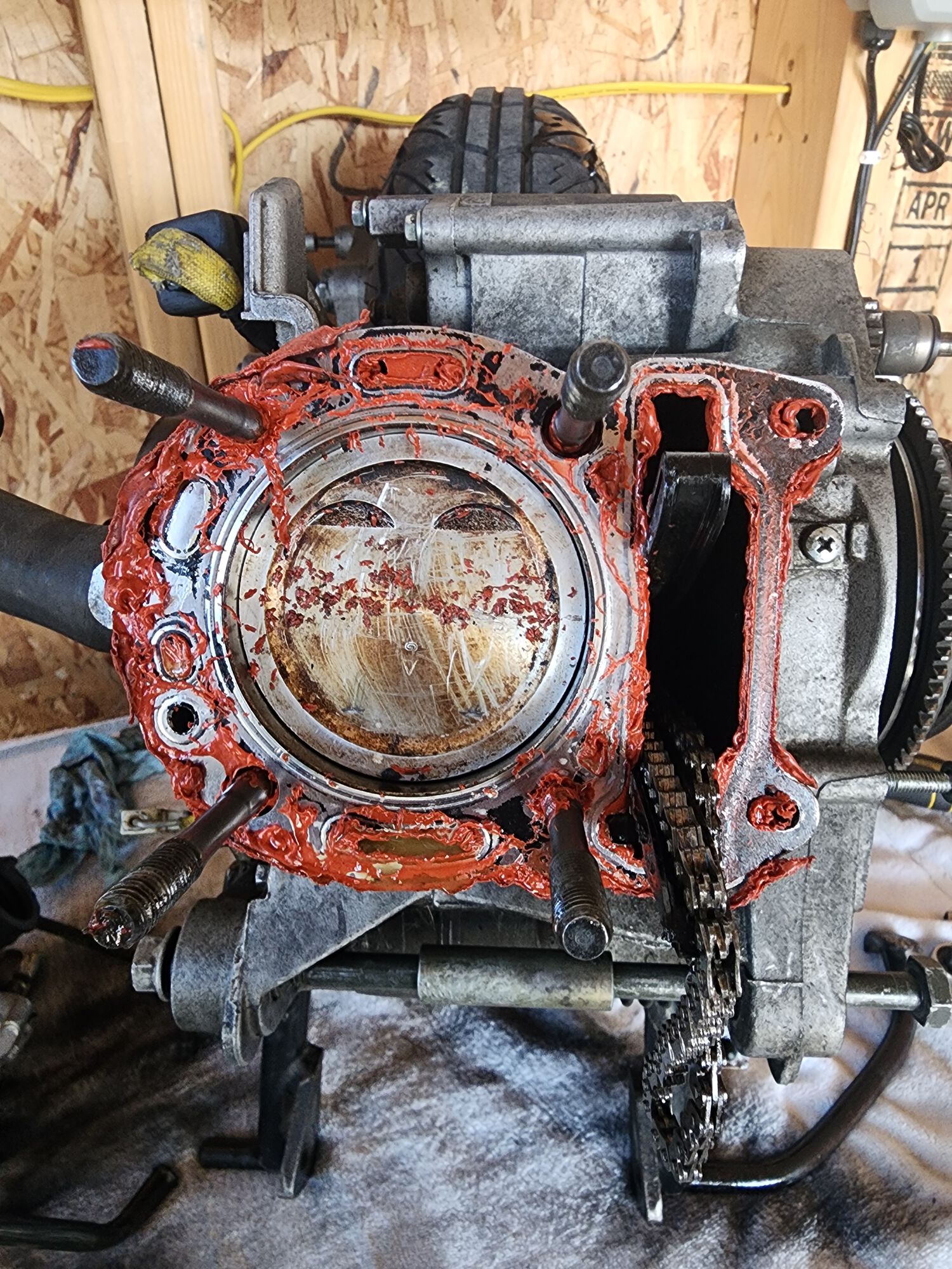 Forum member supplied image with no explanatory text