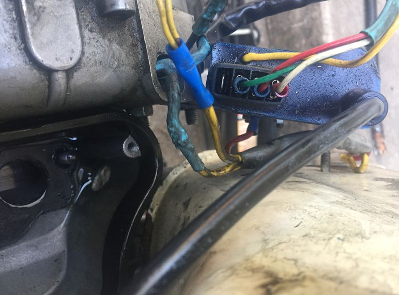 Forum member supplied image with no explanatory text