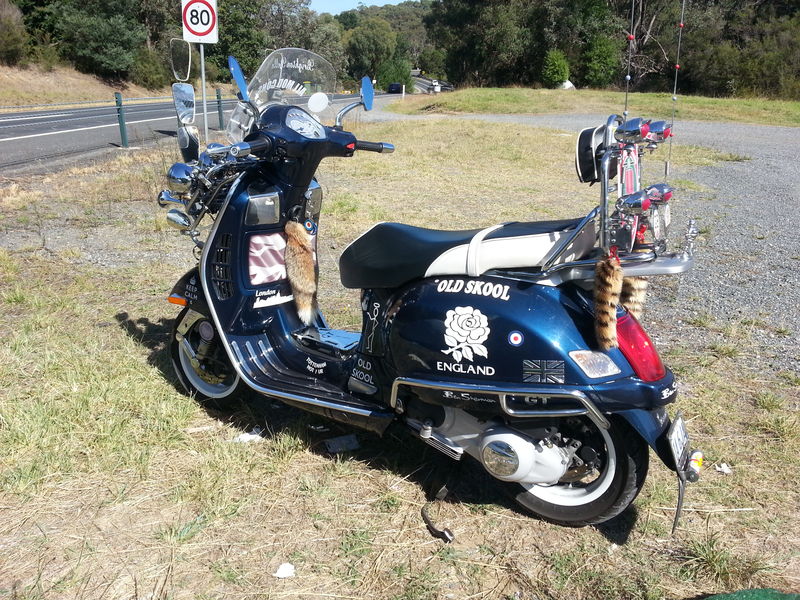 Forum member supplied image with no explanatory text