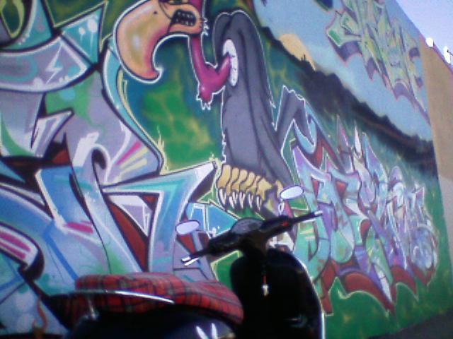 Forum member supplied image with no explanatory text